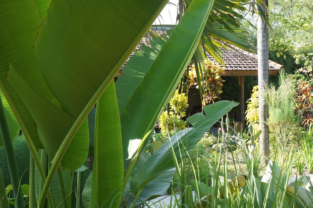 Ibludan Hotel Senggigi Dış mekan fotoğraf