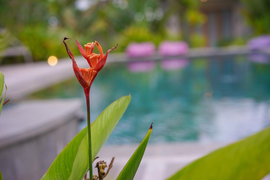 Ibludan Hotel Senggigi Dış mekan fotoğraf