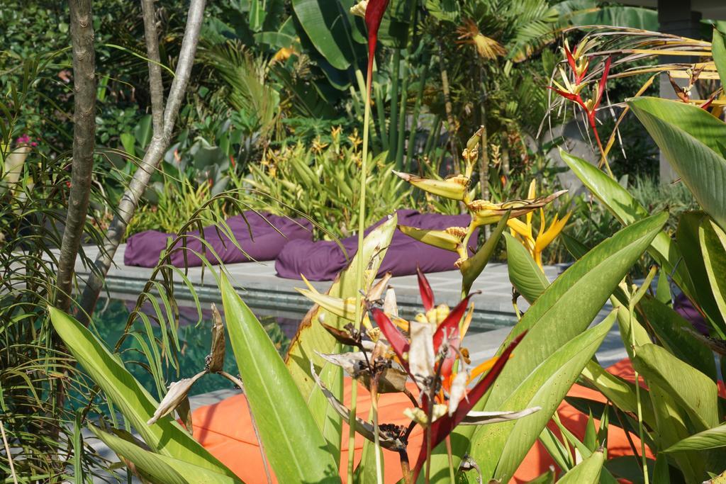 Ibludan Hotel Senggigi Dış mekan fotoğraf